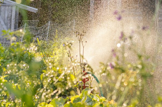 Top 6 Signs Your Sprinkler System Needs An Upgrade For Maximum Efficiency