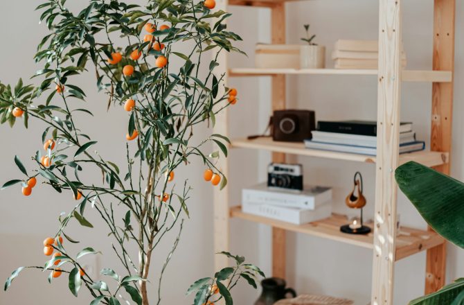 Habits That Make Your Home Feel More Organized (and Less Chaotic)