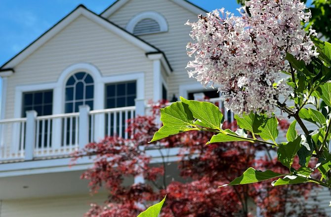 Seasonal Landscaping Tips for Homeowners: Keep Your Yard Beautiful Year-Round