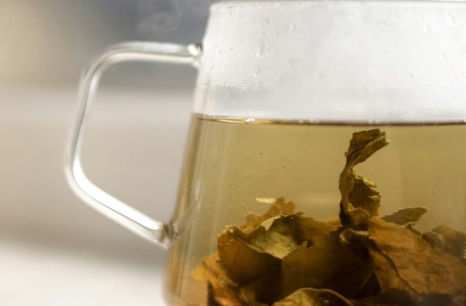 Which Herbal Ingredients Are Proven to Support Long-Term Prostate Wellness?